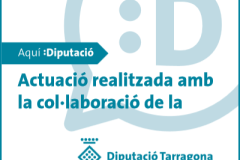 Subvencions per a la contractació de les activitats incloses en el catàleg de programacions culturals dels ens locals (E-catàleg), exercici 2024